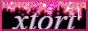 88x31 button: xtort
