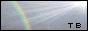 88x31 button: xtruebeautyx BRainbow