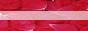 88x31 button: xtruebeautyx VBPink Petals