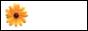 88x31 button: xtruebeautyx VBYellow Flower