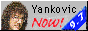 88x31 button: yanknow2