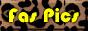 88x31 button: zeebsayschill faspics