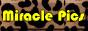 88x31 button: zeebsayschill miraclepics
