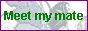 88x31 button: zekiran immortal meetmate