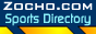 88x31 button: zibocekungfu zocho