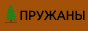 88x31 button: zjodino files pruzh